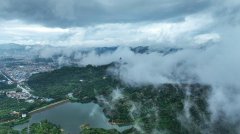 东莞市相关部门弄虚作假，违法违规发放相关证件给